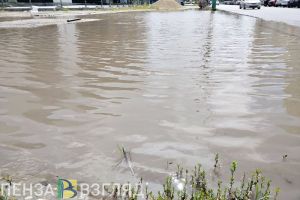 В Пензе назвали причину затопления некоторых улиц после сильных дождей