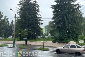 4 июня в Пензенской области будет по-летнему тепло и пойдет дождь