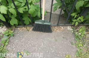 Пензенцев приглашают принять участие в субботнике 6 июня