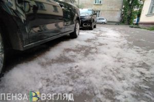 За поджог тополиного пуха пензенцев оштрафуют на 15 тысяч рублей