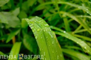 В Пензенской области на выходных будет тепло, но возможны дожди с грозами