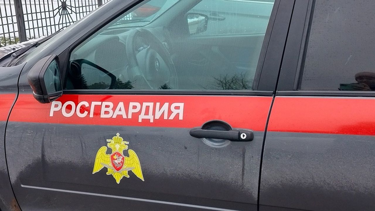 Жительница Заречного выпила алкоголь и пыталась покататься на аттракционах