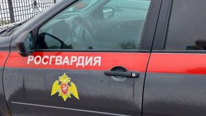 Жительница Заречного выпила алкоголь и пыталась покататься на аттракционах