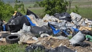 Под Пензой обнаружили свалку на территории сельхозугодий
