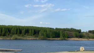 В Пензенской области расширили список опасных для купания мест