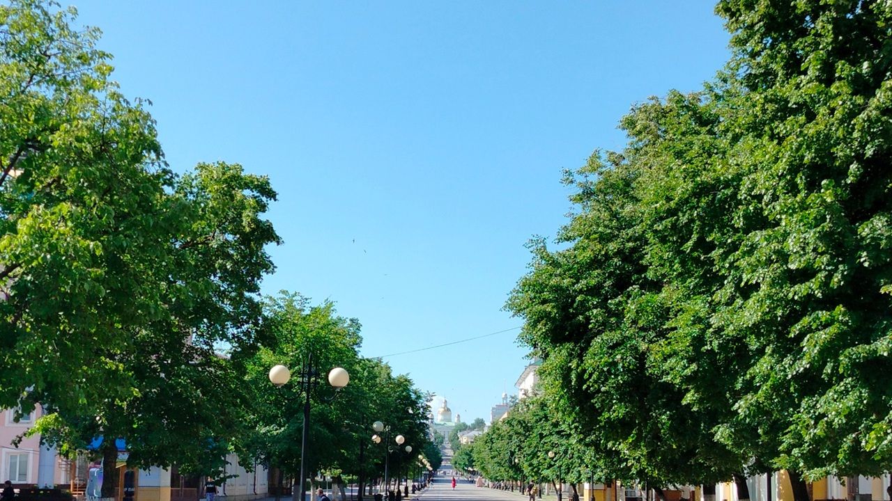 Режим повышенной готовности, награждение пензенцев, благоустройство дворов: новости региона за 11 июня