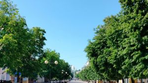 Режим повышенной готовности, награждение пензенцев, благоустройство дворов: новости региона за 11 июня