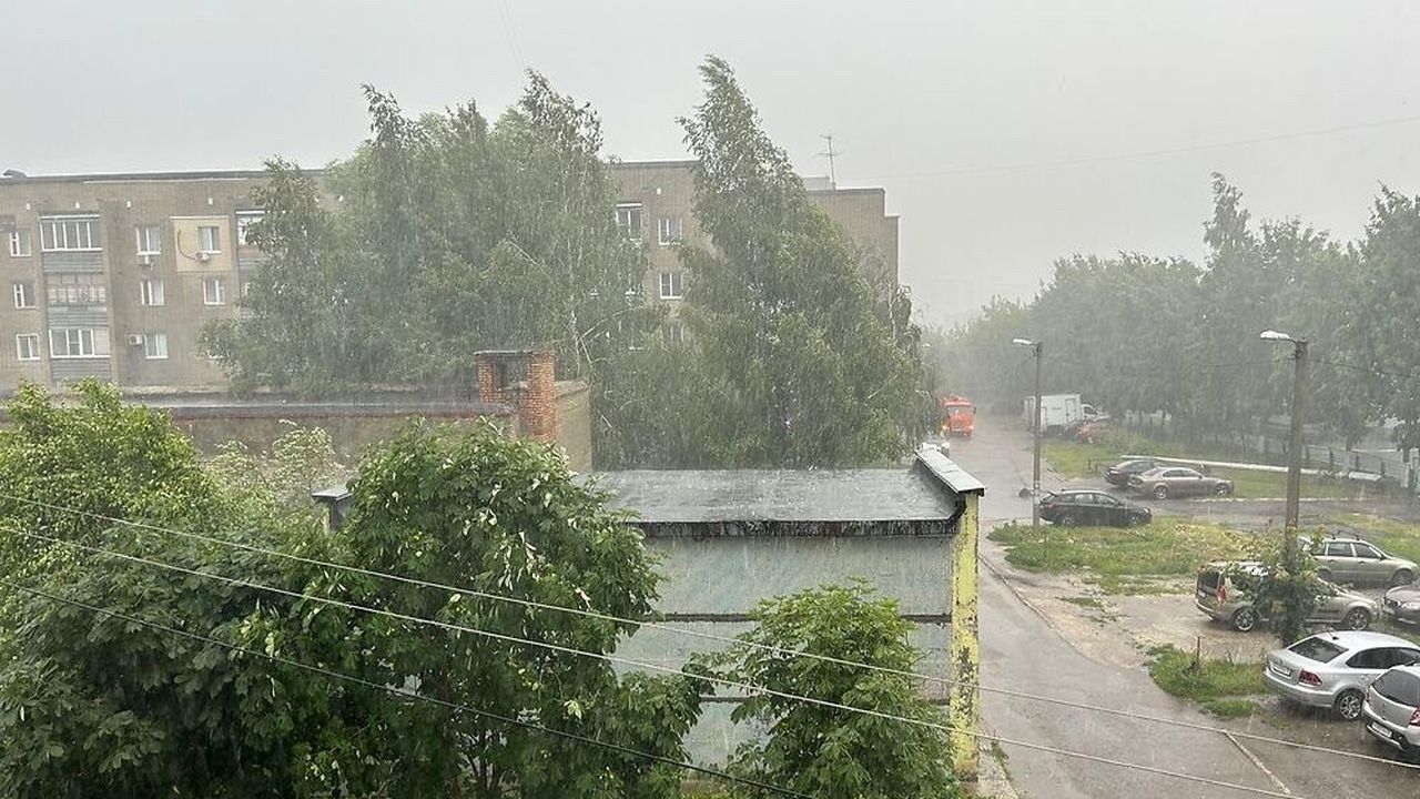 Гроза и жара до +31 градуса ожидаются в Пензенской области 12 июня