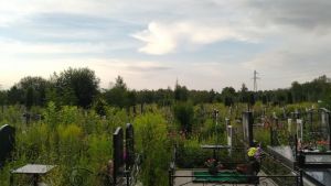 На Ново-Западном кладбище Пензы проведут ремонт асфальта
