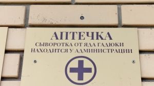 Минздрав объяснил пензенцам, как действовать при укусе змеи