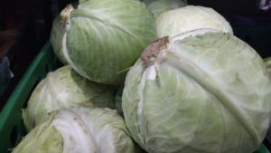 Четыре доступных продукта для поддержания физической формы и активности после 50 лет