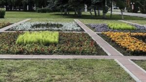 В Пензе высадили 262 тысячи растений
