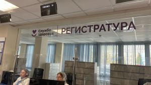 Пензенцам сообщили, есть ли угроза распространения лихорадки денге в России