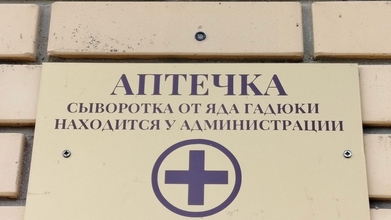 Пензенцам рассказали, как избежать укуса гадюки