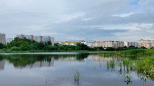 Пензенской области 22 июня угрожала «Беспилотная опасность»
