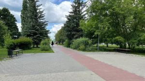 В Пензе благоустроят «Сквер чернобыльцев» на улице 8 Марта