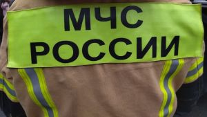МЧС сообщило подробности ночного пожара на улице Мира в Пензе