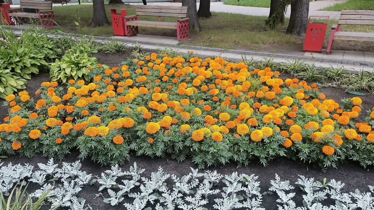 Пензенцев предупредили о 26-градусной жаре 30 июня