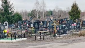В Пензенской области назвали самые смертоносные виды рака за последние 10 лет