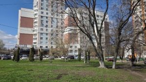 В Пензе демонтировали 207 информационных и рекламных конструкций