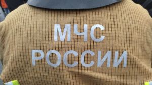 В Пензенской области за сутки случилось 5 пожаров