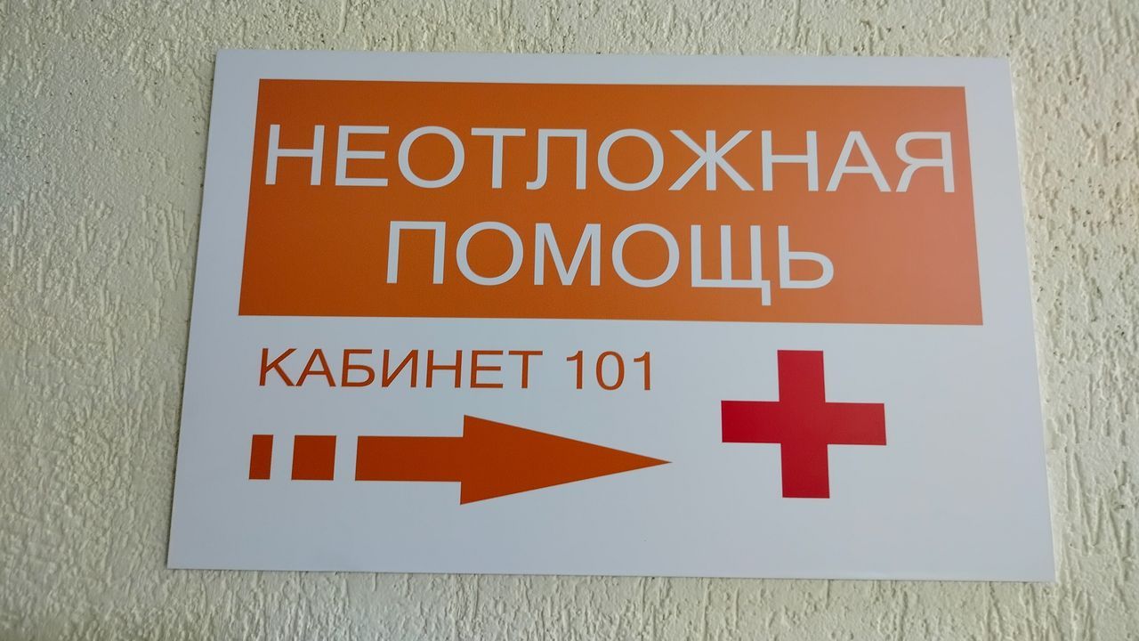 Жителям Пензенской области рассказали о способах защиты от мышиной лихорадки
