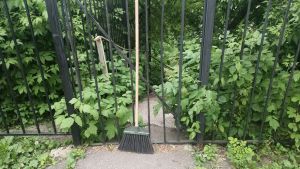 Пензенцам напомнили правила летнего трудоустройства подростков