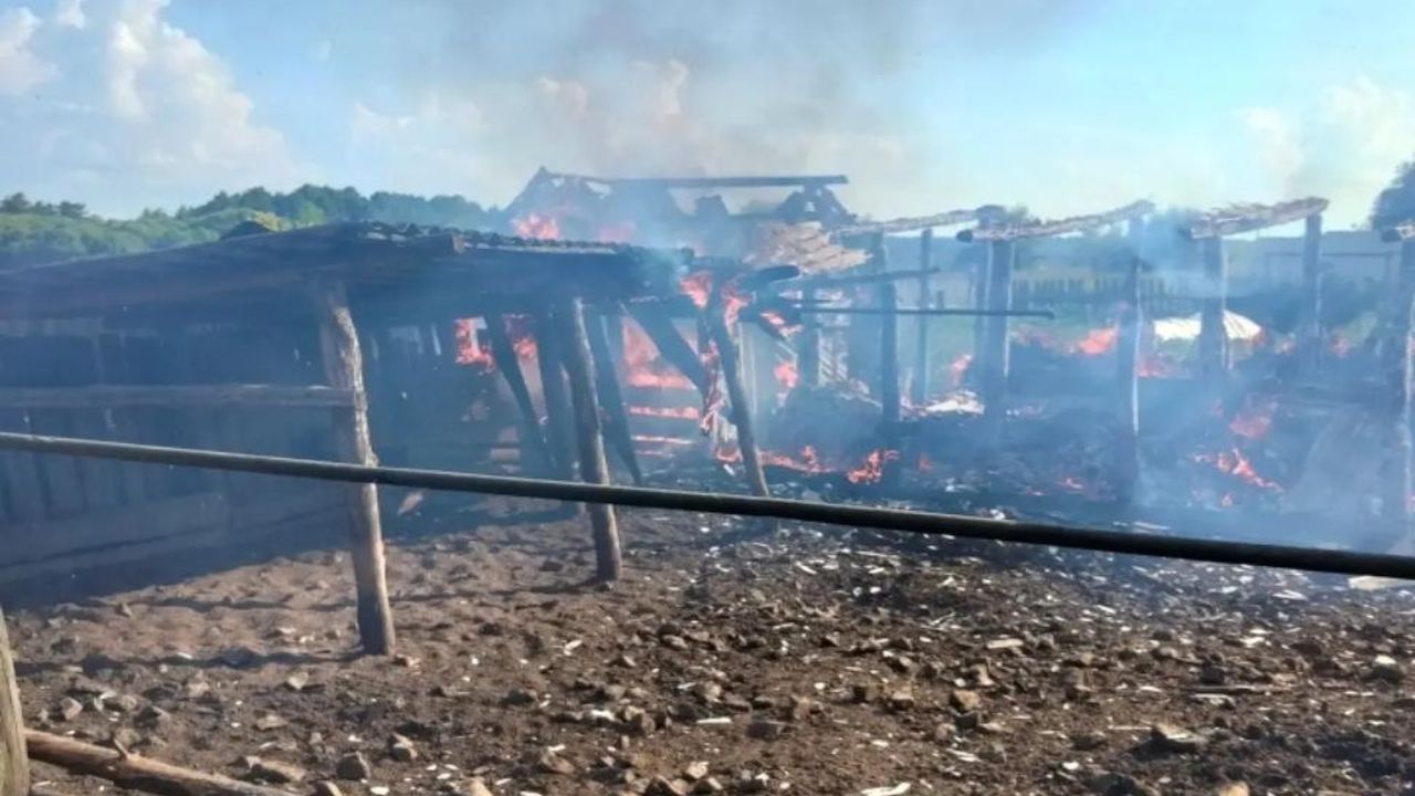 Опубликованы фото большого пожара в селе Казарка Никольского района