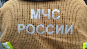 При пожаре в Никольском районе погибла женщина