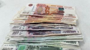 В Пензенской области предприятие задолжало по налогам более 12 млн рублей