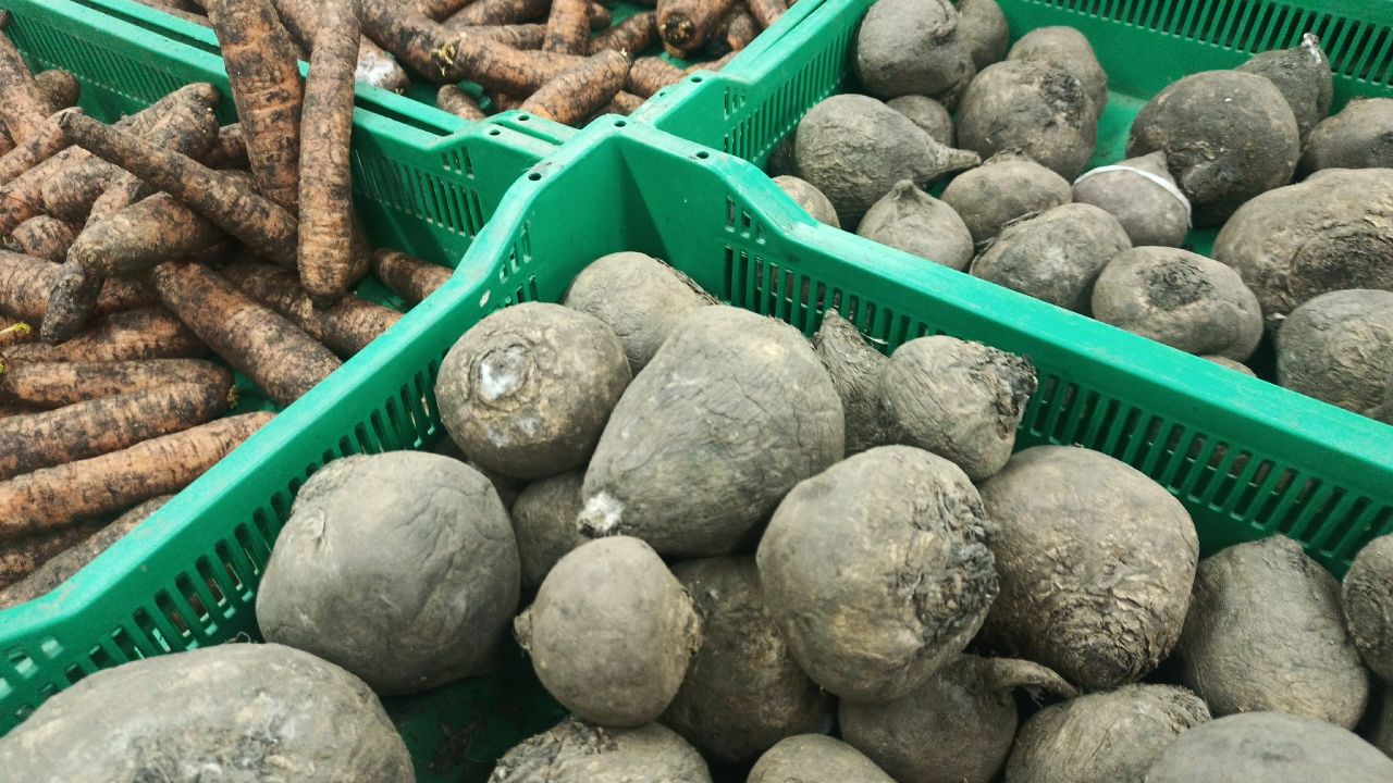 Пензенцы узнали, как будут контролировать рост цен на продукты