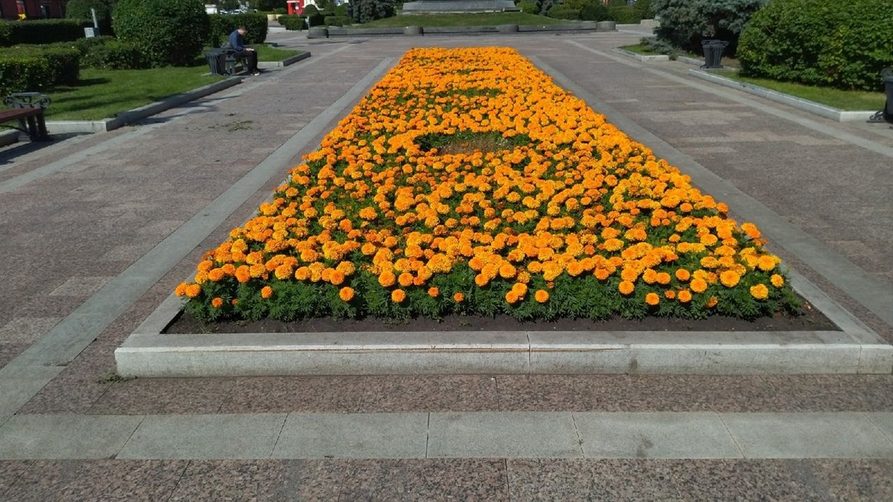 В Пензе 10 июля столбики термометров остановятся на отметке в +30 градусов