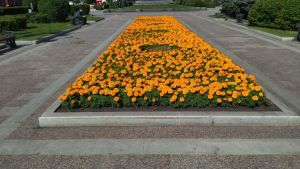 В Пензе 10 июля столбики термометров остановятся на отметке в +30 градусов