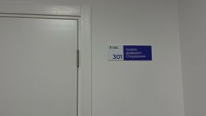 Фельдшер пензенской скорой рассказала, как не попасть в больницу летом