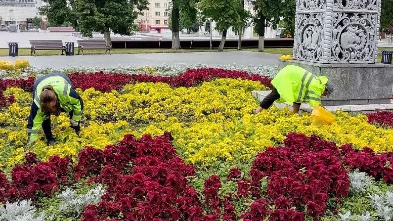 В Пензе вручную пропалывают цветники