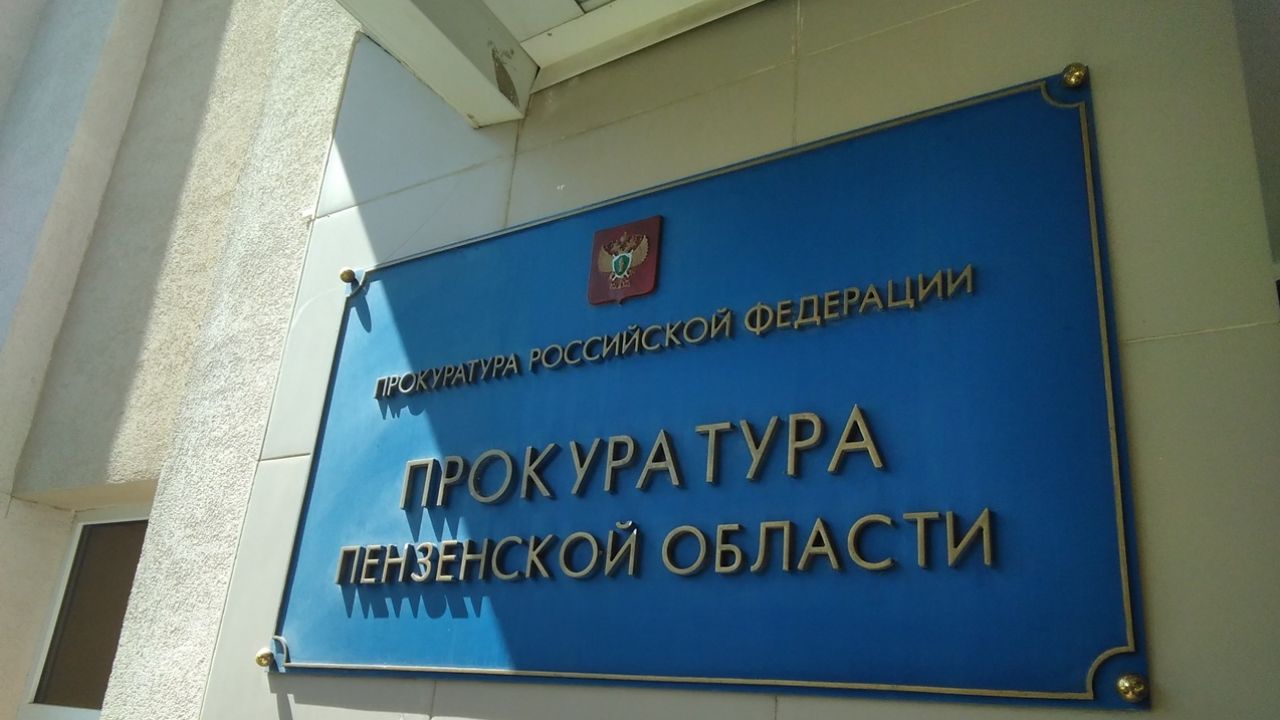 18-летняя зареченка приговорена к лишению свободы за мошенничество