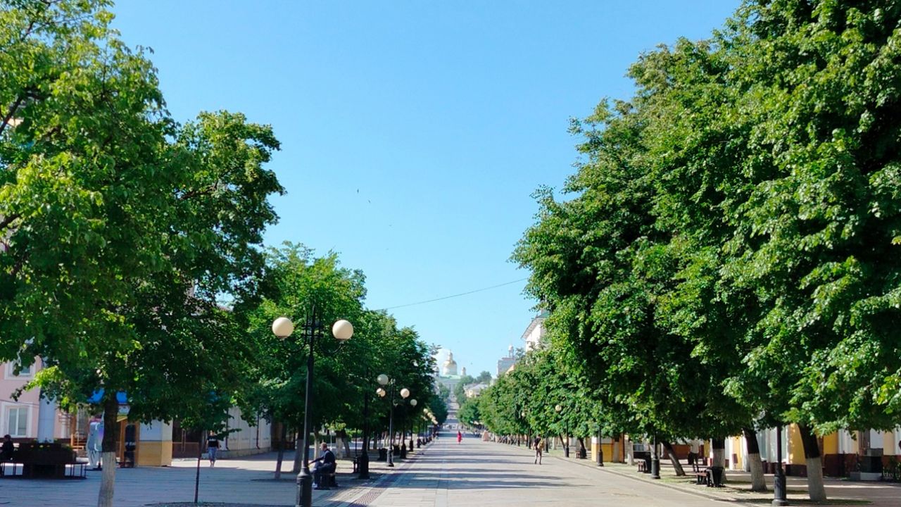 В Пензе состоится фестиваль «Газон» (0+)