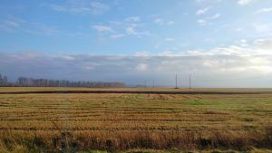 В Пензенской области создали штаб по координации уборочной кампании