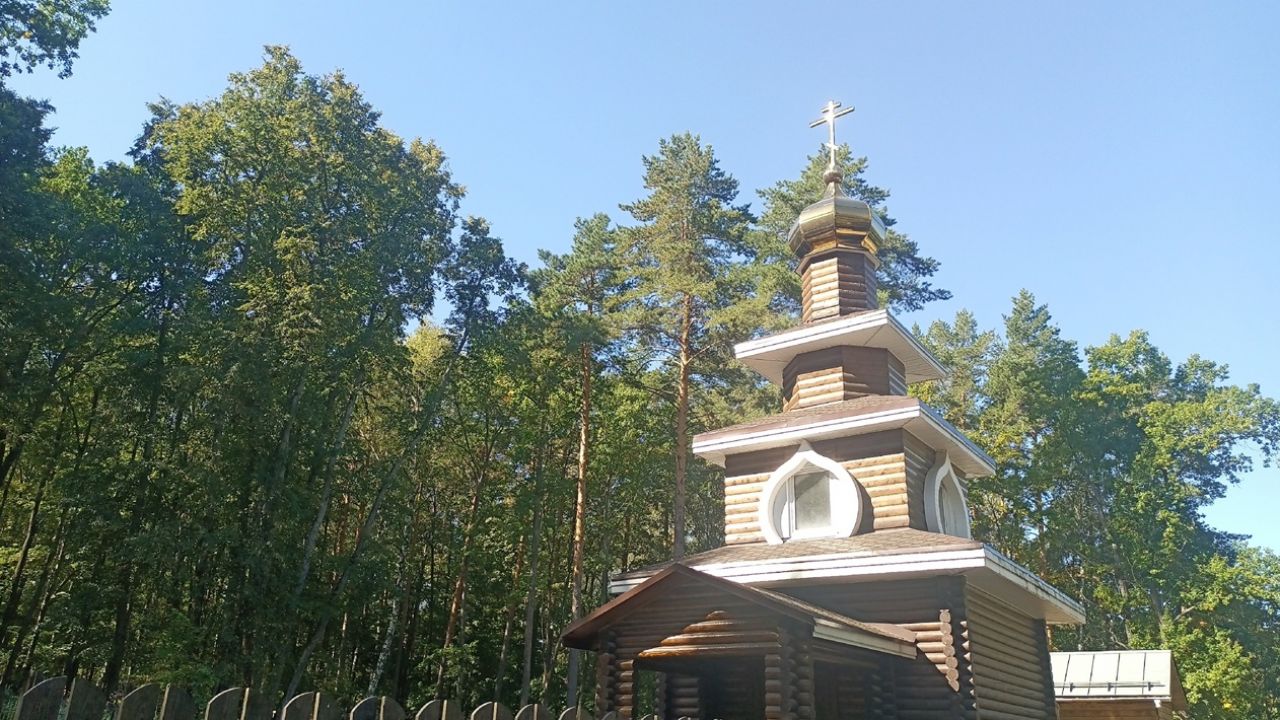 Собор святых Пензенской митрополии пополнили новыми именами