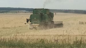 Из Пензенской области за 6 месяцев отгрузили более 652 тысяч тонн пшеницы