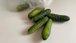 «Хвойные» огурцы на зиму: вкус удивит гостей - в банку нужно положить сосновую ветку