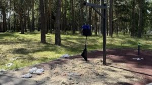 Родители юного вандала возместили ущерб скверу имени Демакова в Заречном