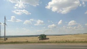 В 188 декларациях на пензенское зерно выявили нарушения