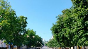 Пензенцам рассказали о законах, вступающих в силу в августе
