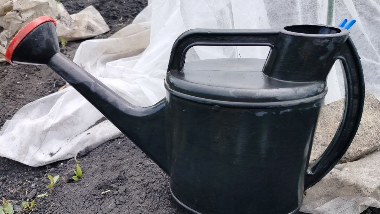 Пензенским дачникам рекомендовали пройти диспансеризацию