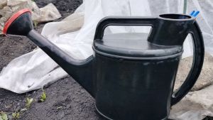 Пензенским дачникам рекомендовали пройти диспансеризацию