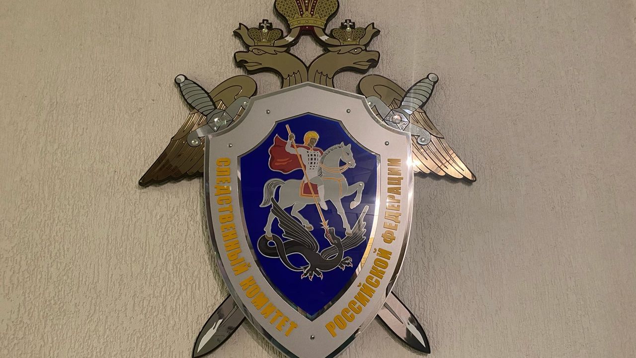 Экс-директор предприятия в Пензенской области пойдет под суд за сокрытие 5,9 млн