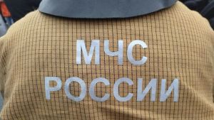 В Пензе во время пожара на проспекте Победы пострадала женщина