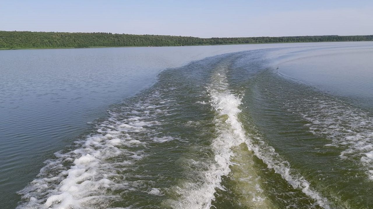 Состояние воды в Сурском водохранилище, средний размер зарплаты, заявки на жеребьевку по добыче лося и косули — новости Пензы и области за 1 августа