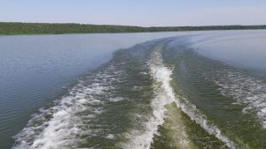 Состояние воды в Сурском водохранилище, средний размер зарплаты, заявки на жеребьевку по добыче лося и косули — новости Пензы и области за 1 августа